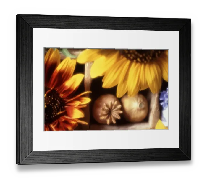 Framed Print : USA, North America, Washington Framed Print : USA, North America, Washington