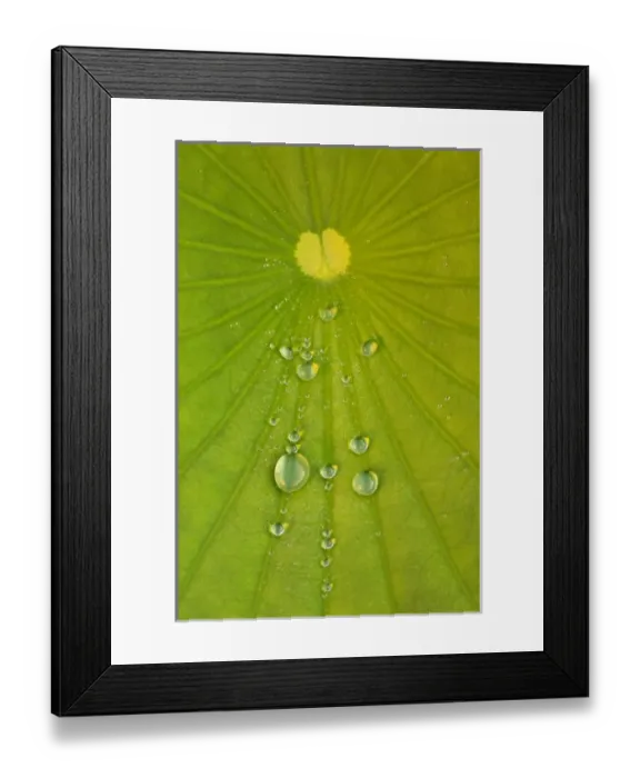 Framed Print : USA, North America, North Carolina Framed Print : USA, North America, North Carolina
