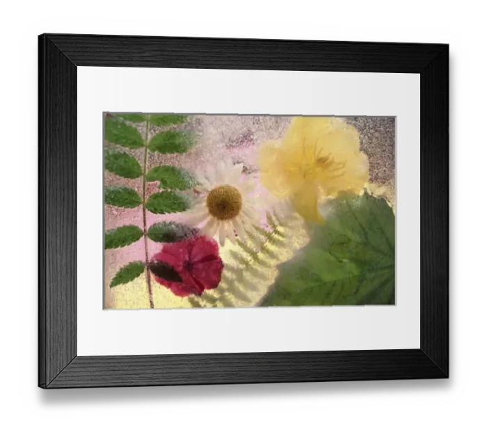 Framed Print : USA, North America, Washington