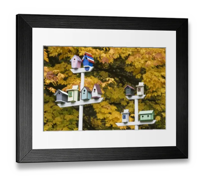Framed Print : USA, North America, Washington Framed Print : USA, North America, Washington