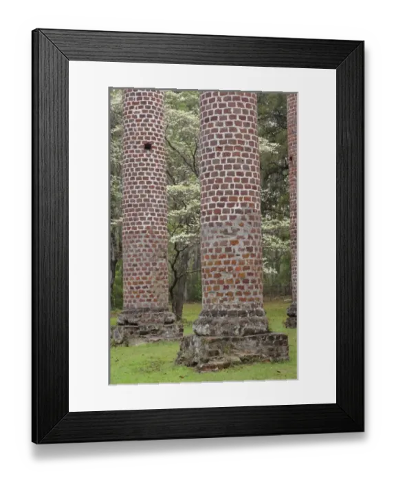 Framed Print : Red brick ruins of the Church of Prince Williams Parish known as Sheldon, built between 1745-1755