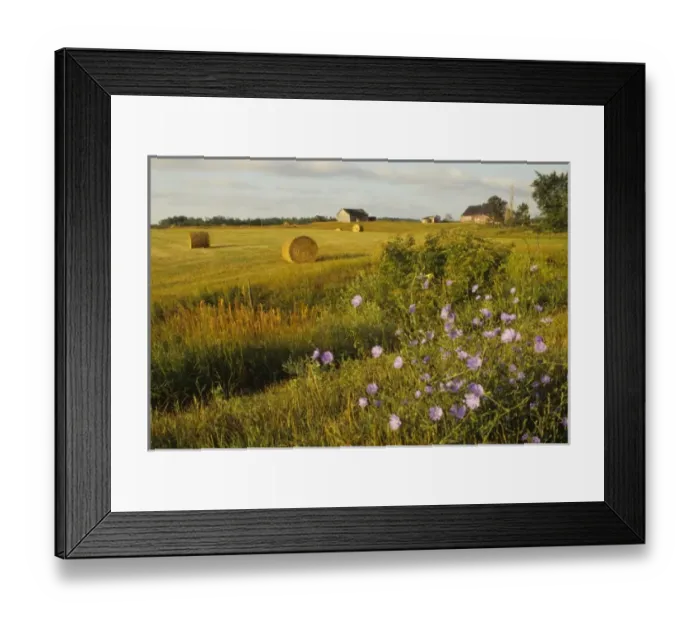 Framed Print : USA, North America, New York Framed Print : USA, North America, New York