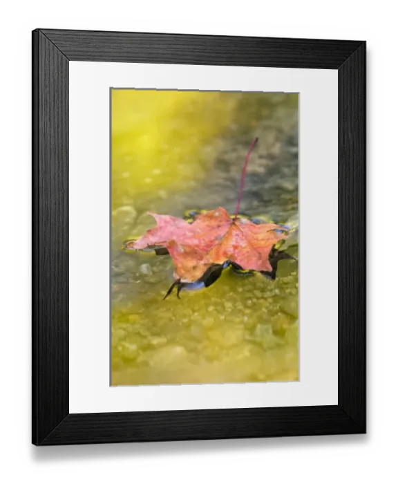 Framed Print : USA, North America, Vermont