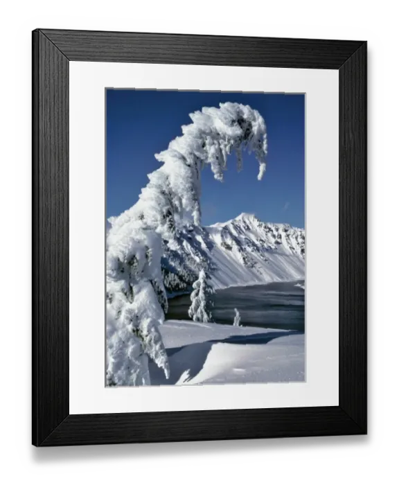 Framed Print : USA, Oregon, Crater Lake NP. Snow-encrusted trees bow to Crater Lake in Crater Lake NP, Oregon Framed Print : USA, Oregon, Crater Lake NP. Snow-encrusted trees bow to Crater Lake in Crater Lake NP, Oregon