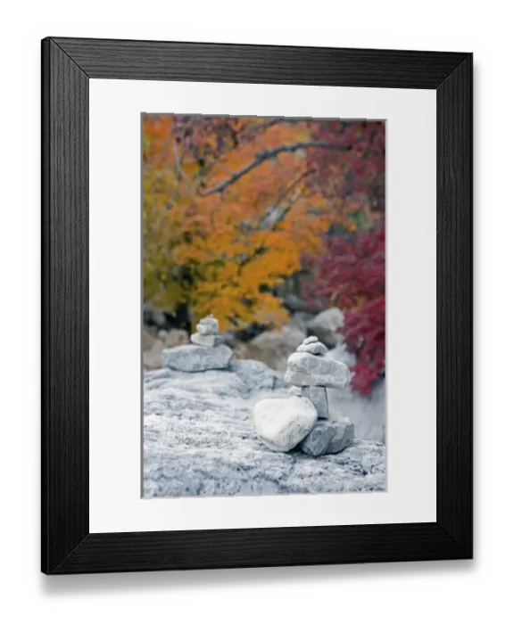 Framed Print : USA, Texas, Guadalupe Mountains National Park. Kerns on a Guadalupe Mountains National Framed Print : USA, Texas, Guadalupe Mountains National Park. Kerns on a Guadalupe Mountains National