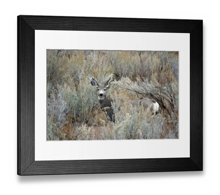 Framed Print : USA, North America, North Dakota Framed Print : USA, North America, North Dakota