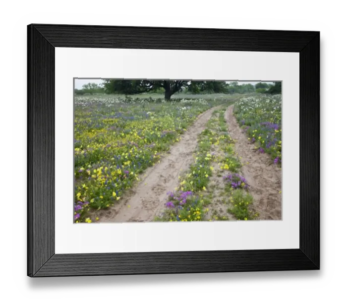 Framed Print : USA, North America, Texas