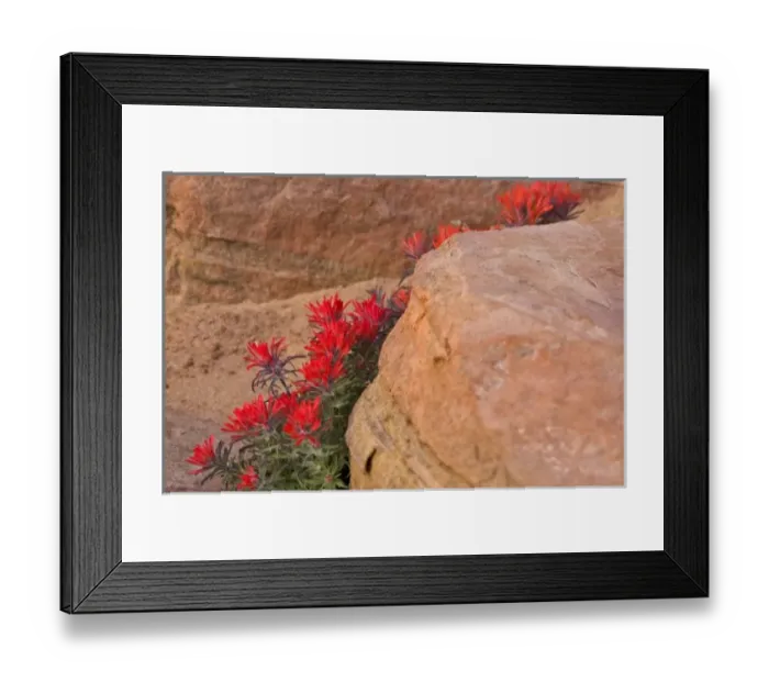 Framed Print : USA, North America, Utah Framed Print : USA, North America, Utah