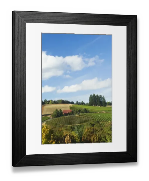 Framed Print : NA; USA; Oregon; Willamette Valley; Dundee; Red Hills; Domaine Drouhin Vineyard Framed Print : NA; USA; Oregon; Willamette Valley; Dundee; Red Hills; Domaine Drouhin Vineyard