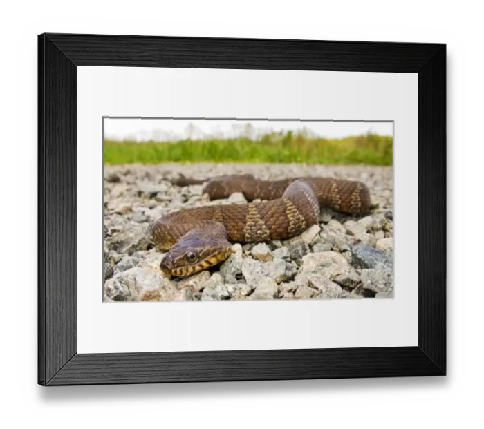 Framed Print : USA, North America, New Jersey Framed Print : USA, North America, New Jersey