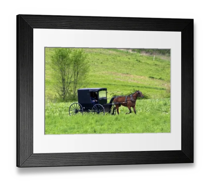 Framed Print : USA, North America, Ohio Framed Print : USA, North America, Ohio