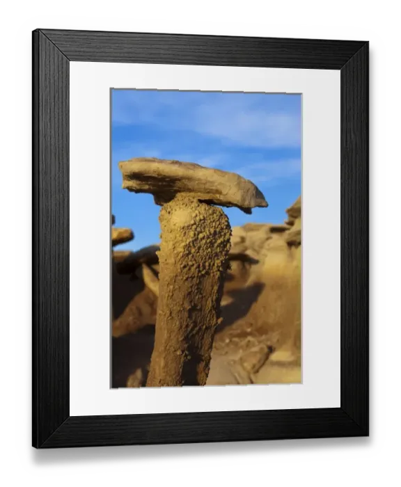 Framed Print : Badlands formations in the Bisti Wilderness in San Juan County, New Mexico, USA Framed Print : Badlands formations in the Bisti Wilderness in San Juan County, New Mexico, USA