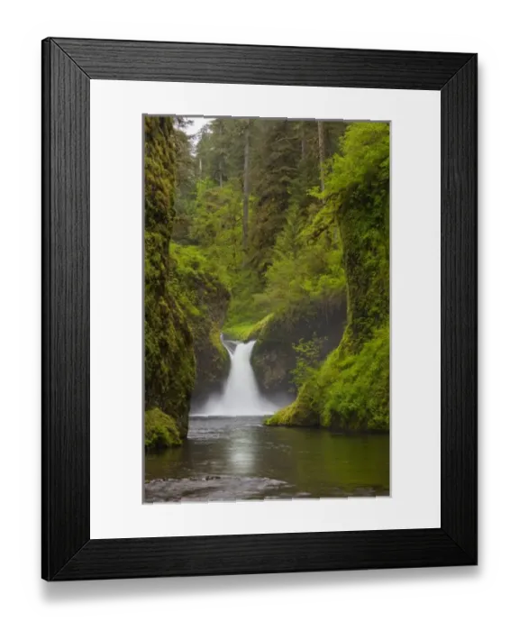 Framed Print : USA, North America, Oregon