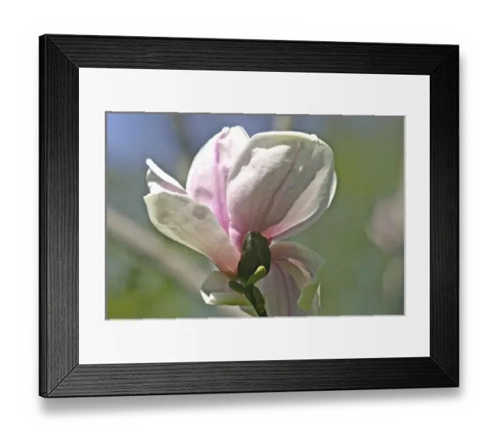 Framed Print : USA, North America, New York Framed Print : USA, North America, New York