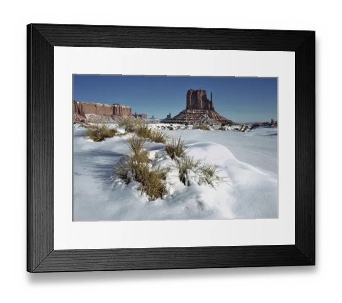 Framed Print : USA, Utah, Monument Valley. Fresh snow mounds around cacti on the floor of Monument Valley