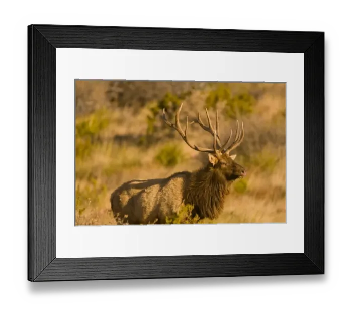 Framed Print : USA, North America, Texas Framed Print : USA, North America, Texas