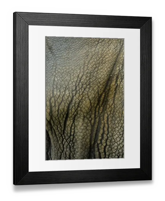 Framed Print : USA, North America, Texas Framed Print : USA, North America, Texas