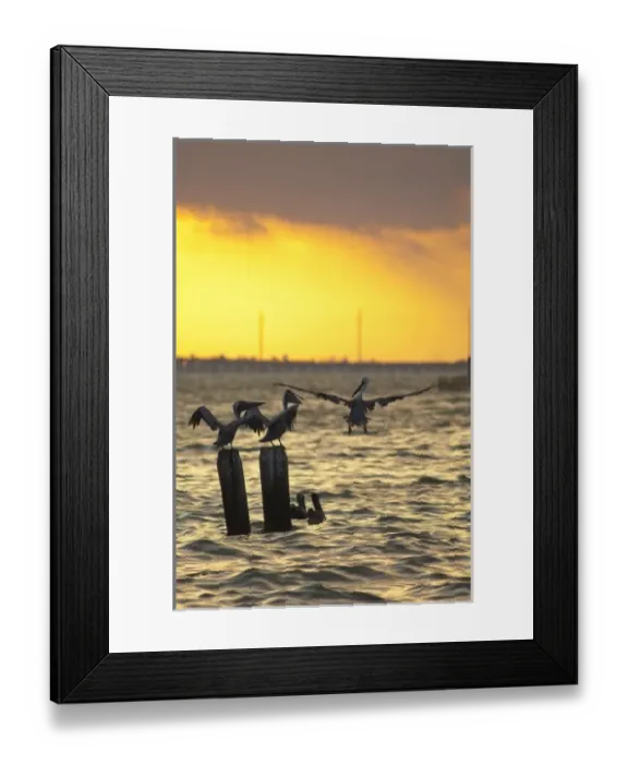 Framed Print : USA, North America, Texas