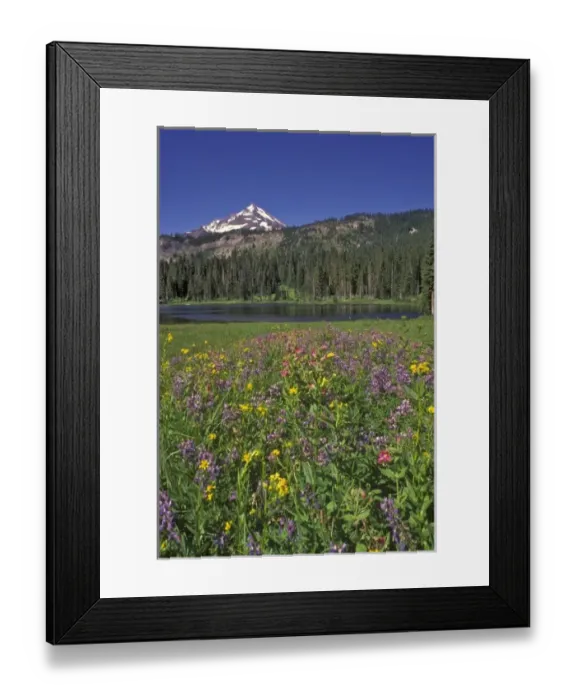 Framed Print : Mt. Jefferson in the background with Hunts Lake in the middleground and Wildflowers Framed Print : Mt. Jefferson in the background with Hunts Lake in the middleground and Wildflowers