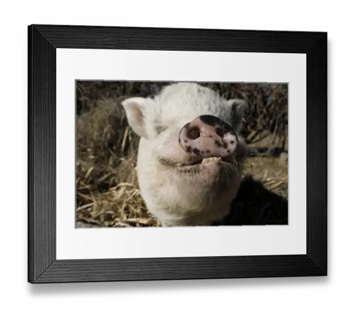 Framed Print : USA, North America, New Mexico Framed Print : USA, North America, New Mexico