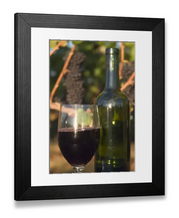 Framed Print : Glass of Pinot Noir wine with bottle in front of Pinot Noir grape cluster on