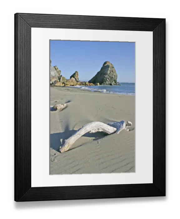 Framed Print : Driftwood and sea stack rock formations at beach in Harris Beach State Park near Framed Print : Driftwood and sea stack rock formations at beach in Harris Beach State Park near