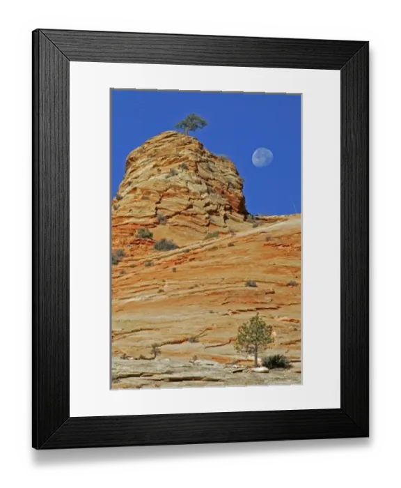 Framed Print : USA, Utah, Zion National Park. Moonset on rock formation near Checkerboard Mesa Framed Print : USA, Utah, Zion National Park. Moonset on rock formation near Checkerboard Mesa