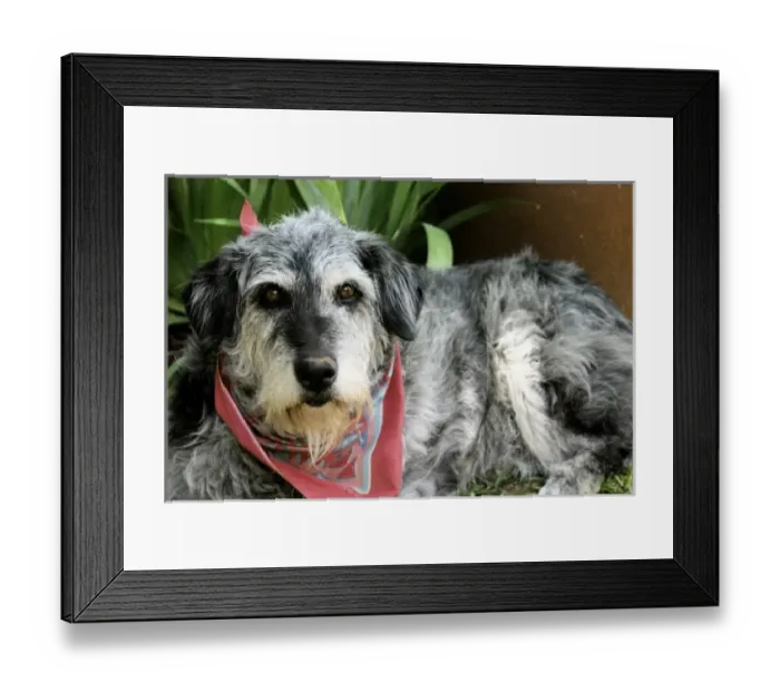 Framed Print : USA, North America, New Mexico Framed Print : USA, North America, New Mexico