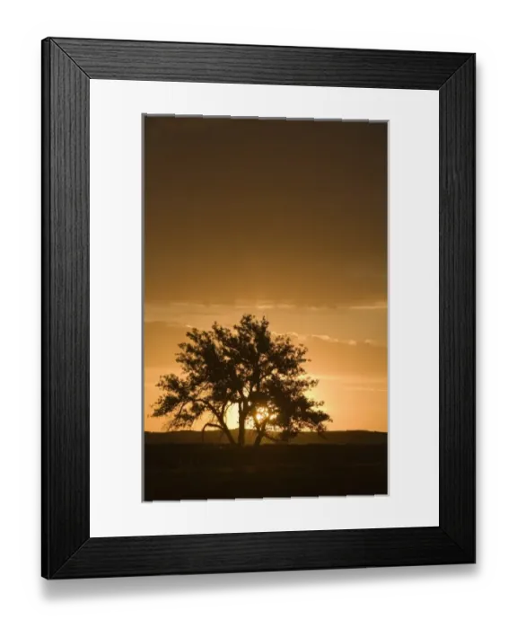 Framed Print : USA, North America, South Dakota
