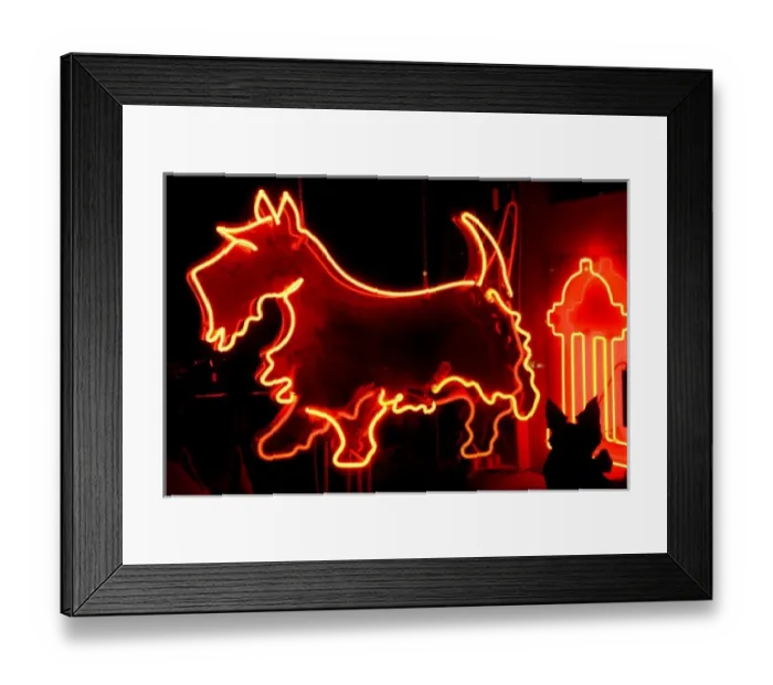 Framed Print : Albuquerque, New Mexico, United States. Route 66 neon sign Framed Print : Albuquerque, New Mexico, United States. Route 66 neon sign