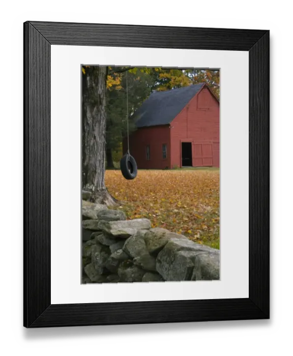 Framed Print : Tire swing along a road in Southern Vermont, USA Framed Print : Tire swing along a road in Southern Vermont, USA