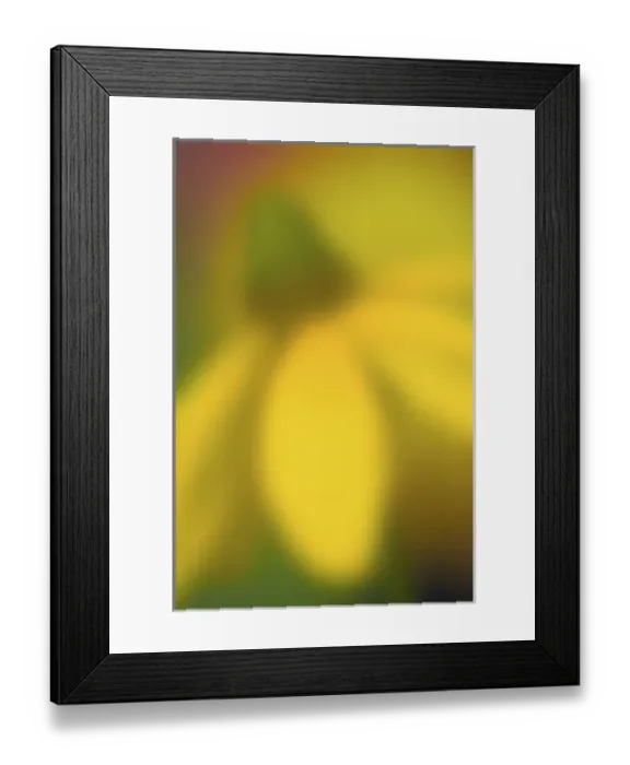 Framed Print : USA, North America, Washington Framed Print : USA, North America, Washington