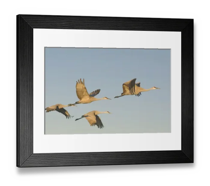 Framed Print : USA, North America, New Mexico