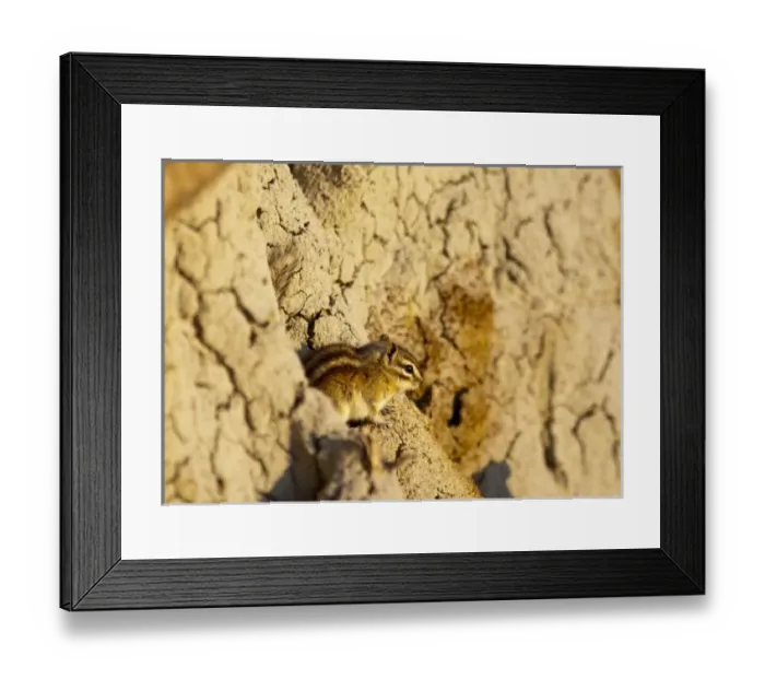 Framed Print : USA, North America, North Dakota
