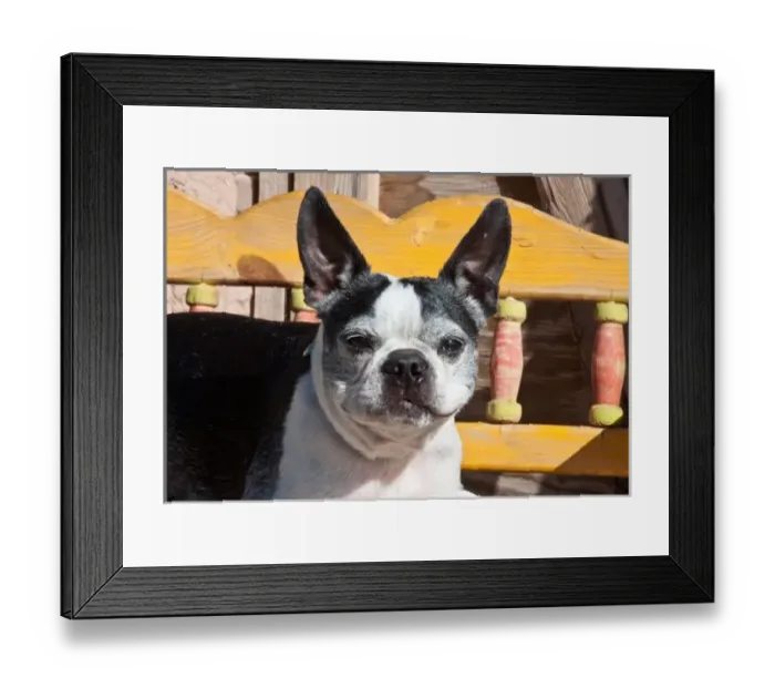 Framed Print : USA, North America, New Mexico
