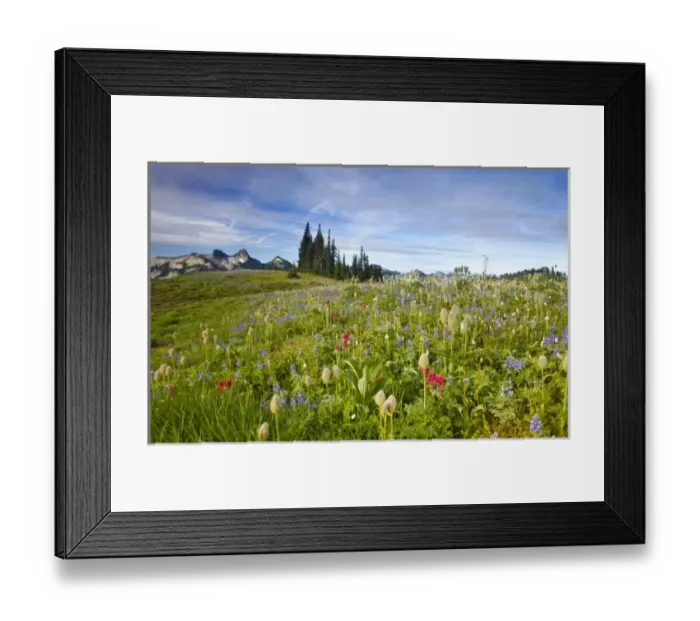 Framed Print : USA, North America, Washington Framed Print : USA, North America, Washington
