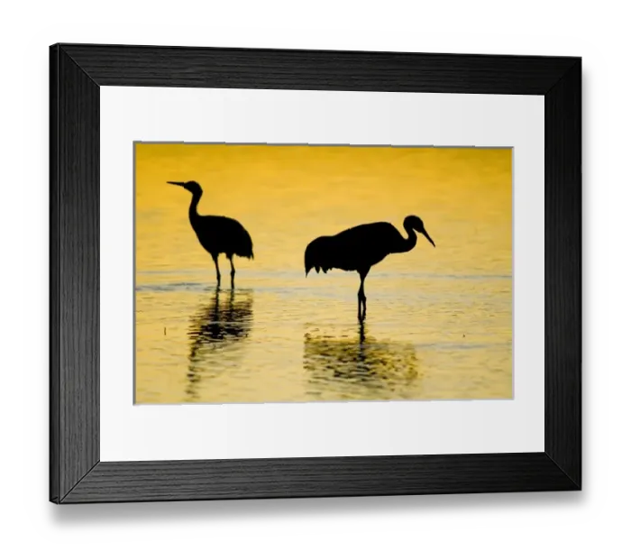 Framed Print : USA, North America, New Mexico Framed Print : USA, North America, New Mexico