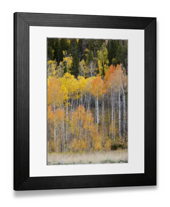 Framed Print : USA, North America, Utah