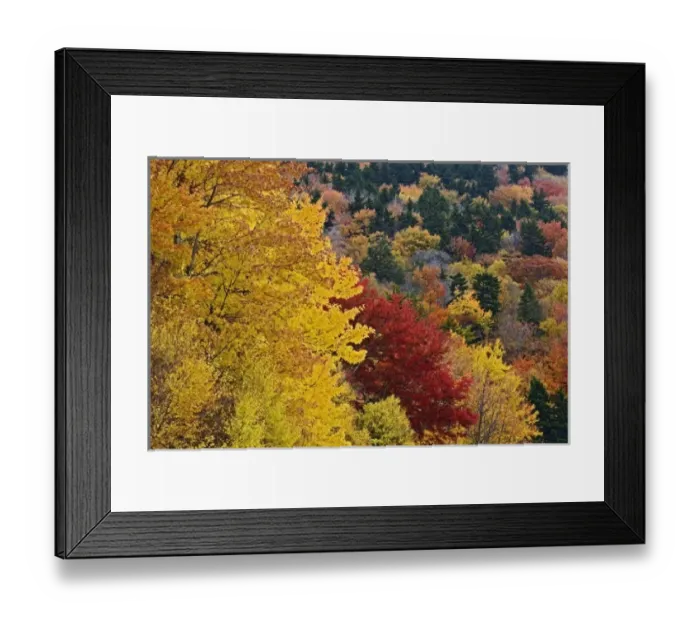 Framed Print : USA, North America, North Carolina Framed Print : USA, North America, North Carolina