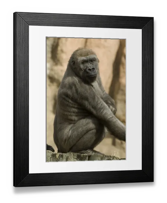 Framed Print : USA, North America, New Mexico Framed Print : USA, North America, New Mexico