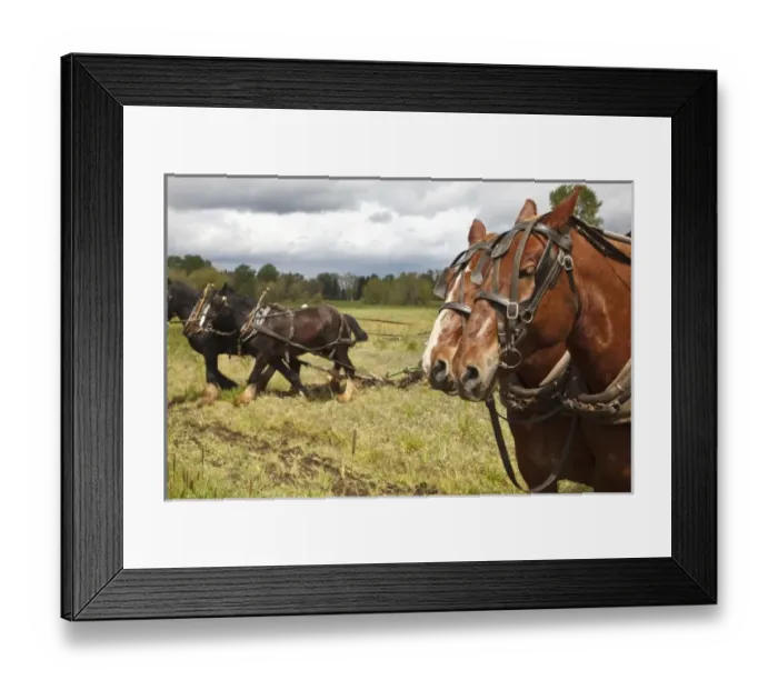 Framed Print : USA, North America, Oregon Framed Print : USA, North America, Oregon