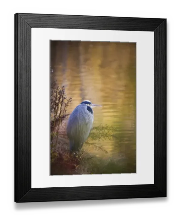 Framed Print : USA, North America, Washington Framed Print : USA, North America, Washington