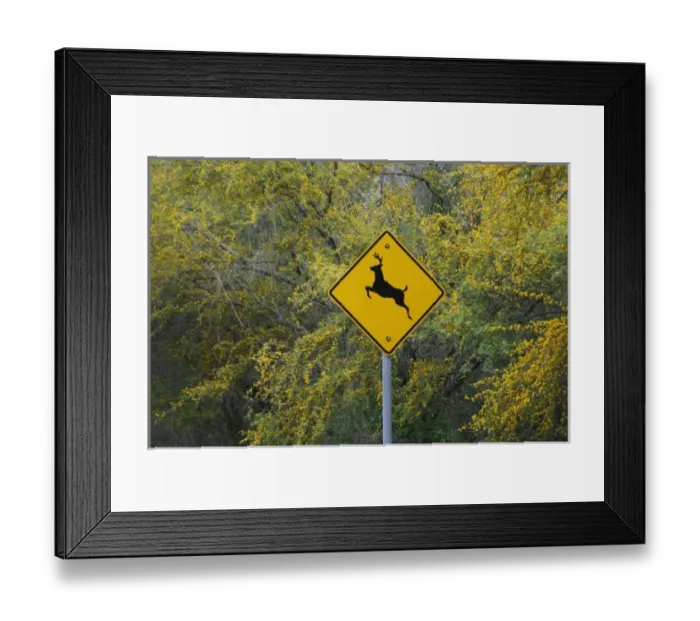 Framed Print : USA, North America, Texas