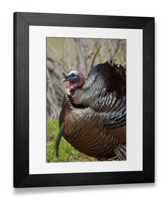 Framed Print : USA, North America, Utah Framed Print : USA, North America, Utah