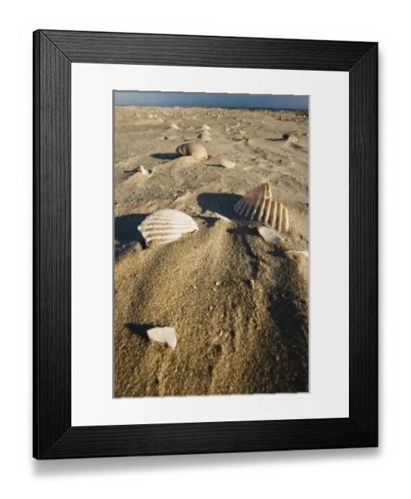 Framed Print : USA, North America, Texas Framed Print : USA, North America, Texas