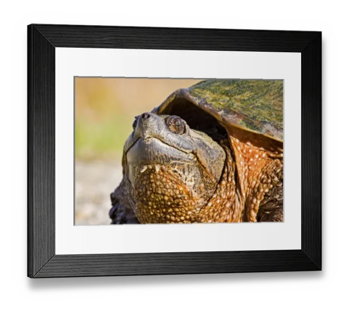 Framed Print : USA, North America, New Jersey Framed Print : USA, North America, New Jersey