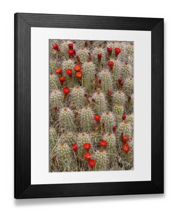 Framed Print : USA, North America, Utah Framed Print : USA, North America, Utah