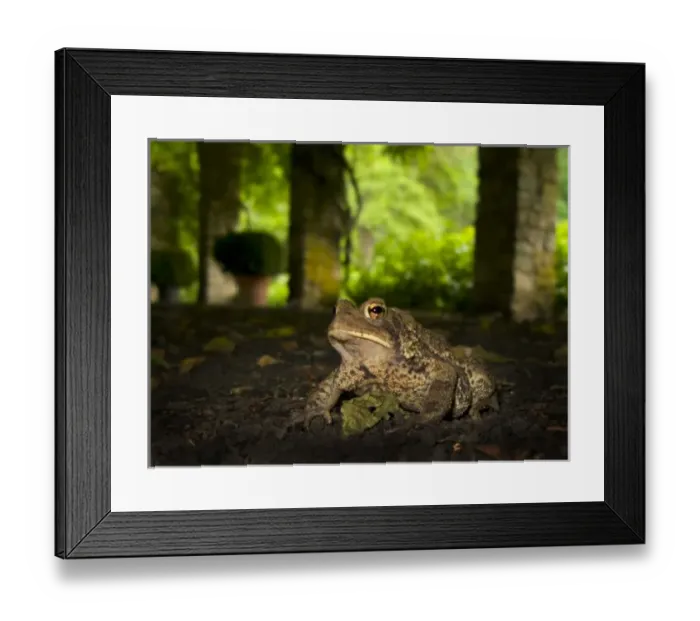Framed Print : USA, North America, New Jersey Framed Print : USA, North America, New Jersey