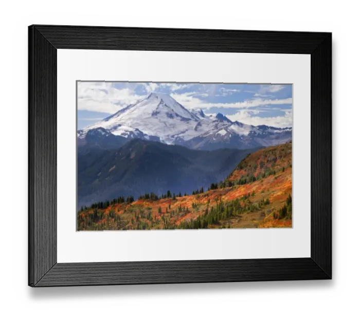 Framed Print : USA, Washington, Mount Baker Wilderness. View of Mount Baker from Yellow Aster Butte Trail Framed Print : USA, Washington, Mount Baker Wilderness. View of Mount Baker from Yellow Aster Butte Trail