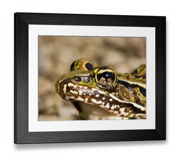 Framed Print : USA, North America, New Jersey Framed Print : USA, North America, New Jersey